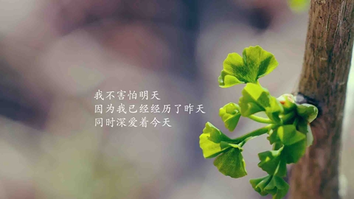 抖音的网名动情两个字怎么取