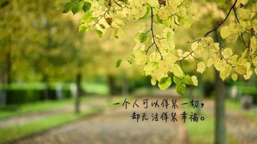 四川被杀女网红网名