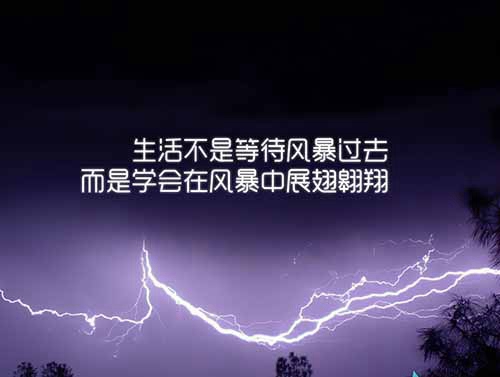 所有的悲伤总会留下一丝快乐。所有的遗憾总会留下一个完美的角落。我在冰冻的深海里，寻找希望的缺口。但当我醒来时，我瞥见了美丽的阳光。